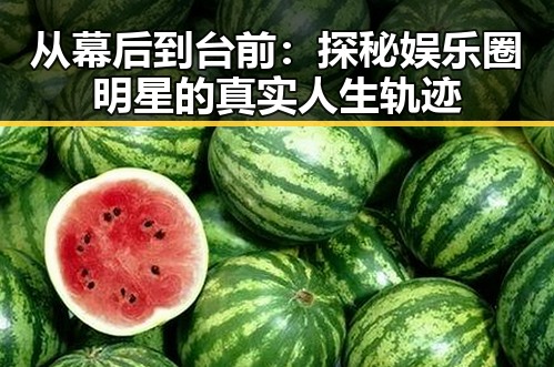 从幕后到台前：探秘娱乐圈明星的真实人生轨迹